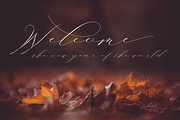 Gianetta, a Script Font by danti (Thumbnail 4 of 6)
