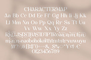 Serohya || Modern Minimalist Serif, a Serif Font by Ermedia Studio (Thumbnail 10 of 10)