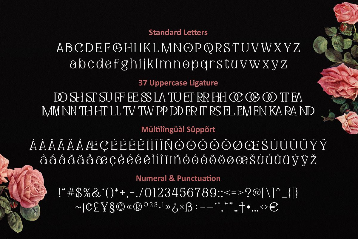 Fortunella - Modern Serif, a Font by HIRO.std (Photo 9 of 9)