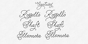 Charlize, a Script Font by GRIN3 (Nowak) (Thumbnail 5 of 5)