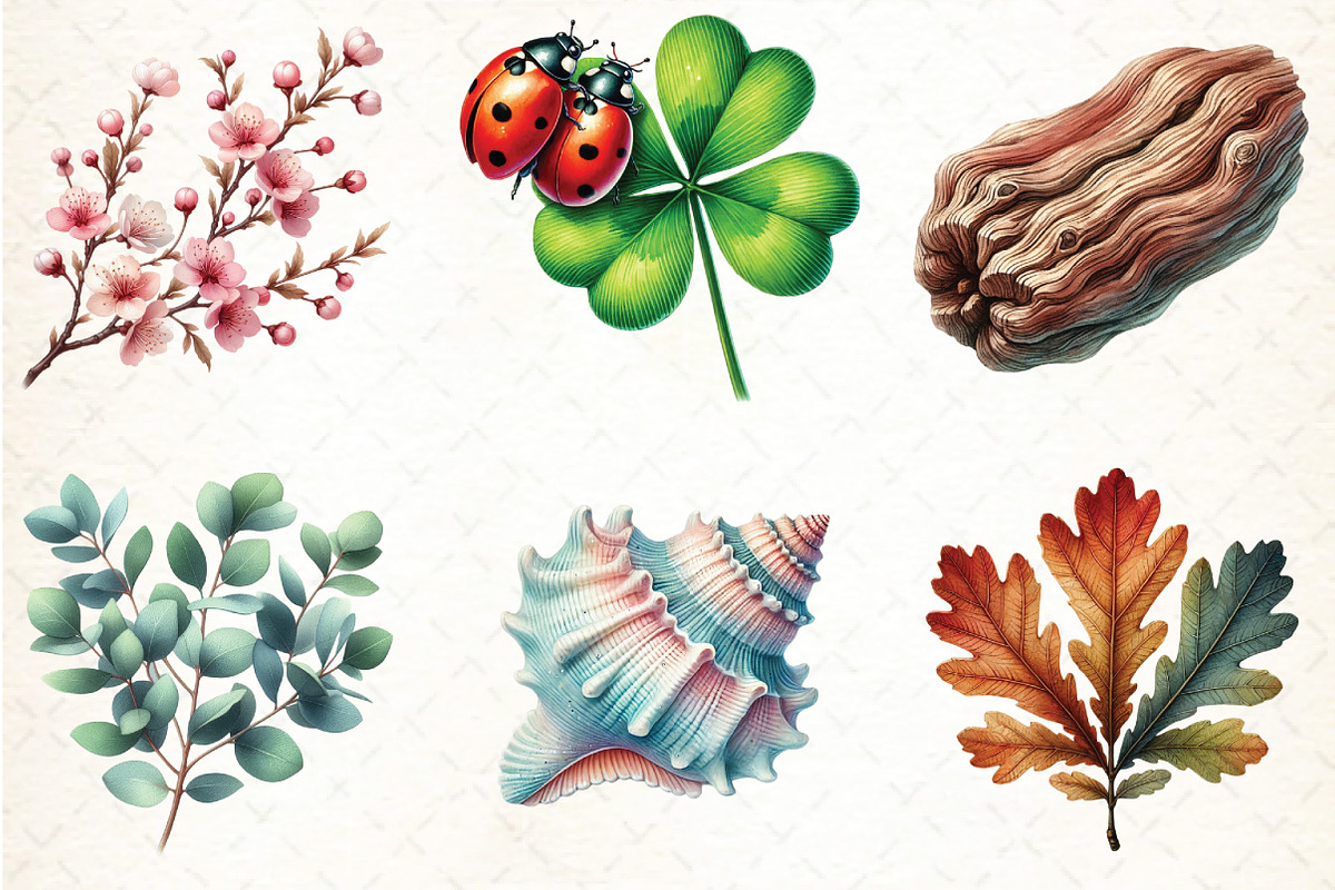 Watercolor Nature Elements Clipart, an Illustration by DreamCafeArt (Photo 3 of 3)