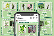 210 Canva Plant Instagram Bundle, a Social Media Template by Emerald Eyes Design (Thumbnail 7 of 13)