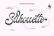 The Landing, a Script Font by Natural Ink Studio (Thumbnail 2 of 10)