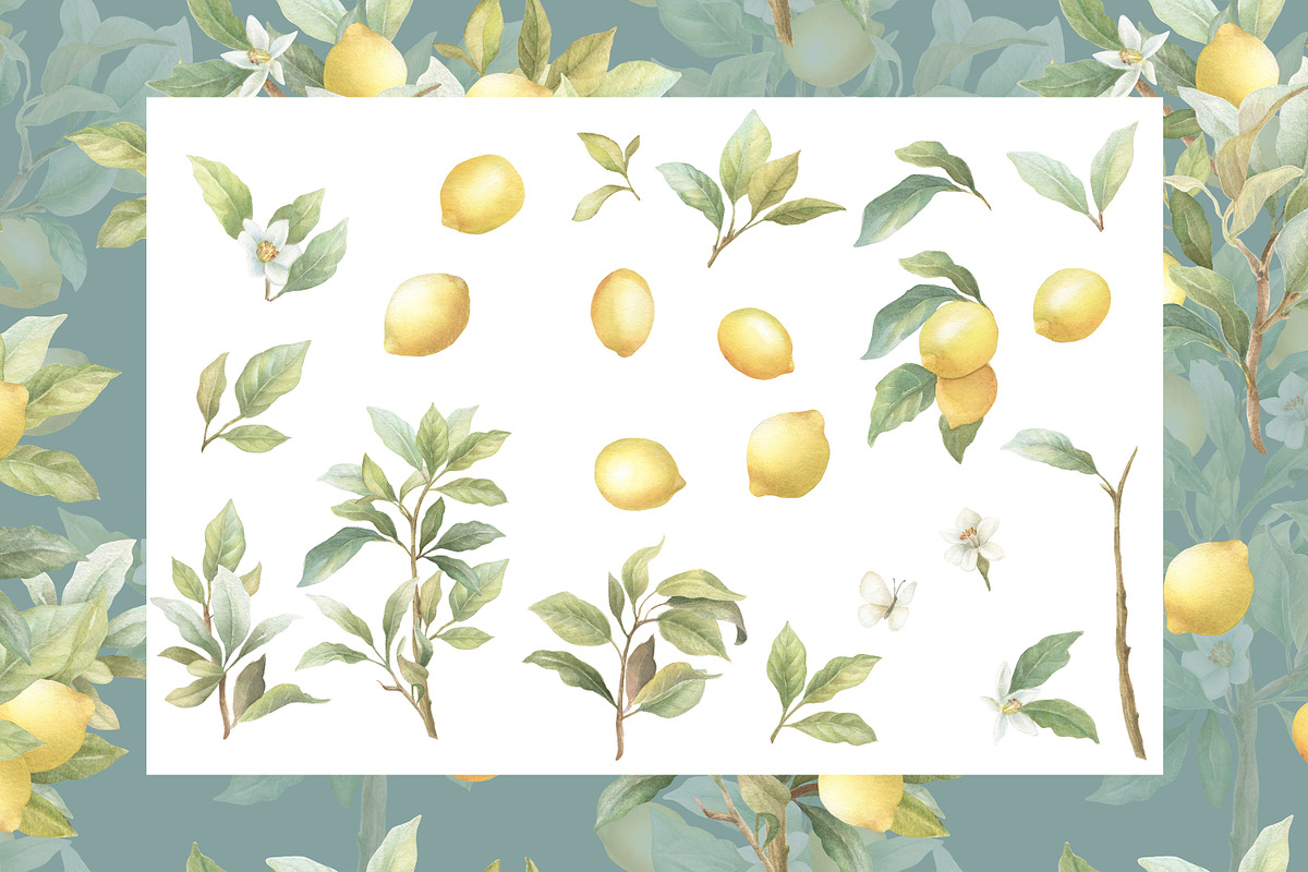 Lemon Watercolor Amalfi Collection, a Decorative Illustration by WonderWonder (Photo 17 of 18)