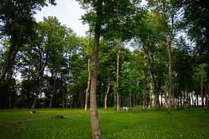 A serene park with lush greenery and people enjoying walking paths, a Person Photo by AS photostudio