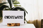 Signboard, a Serif Font by FreshTypeINK (Thumbnail 4 of 7)