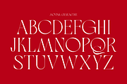 Movisa, a Serif Font by zaaintype (Thumbnail 13 of 15)