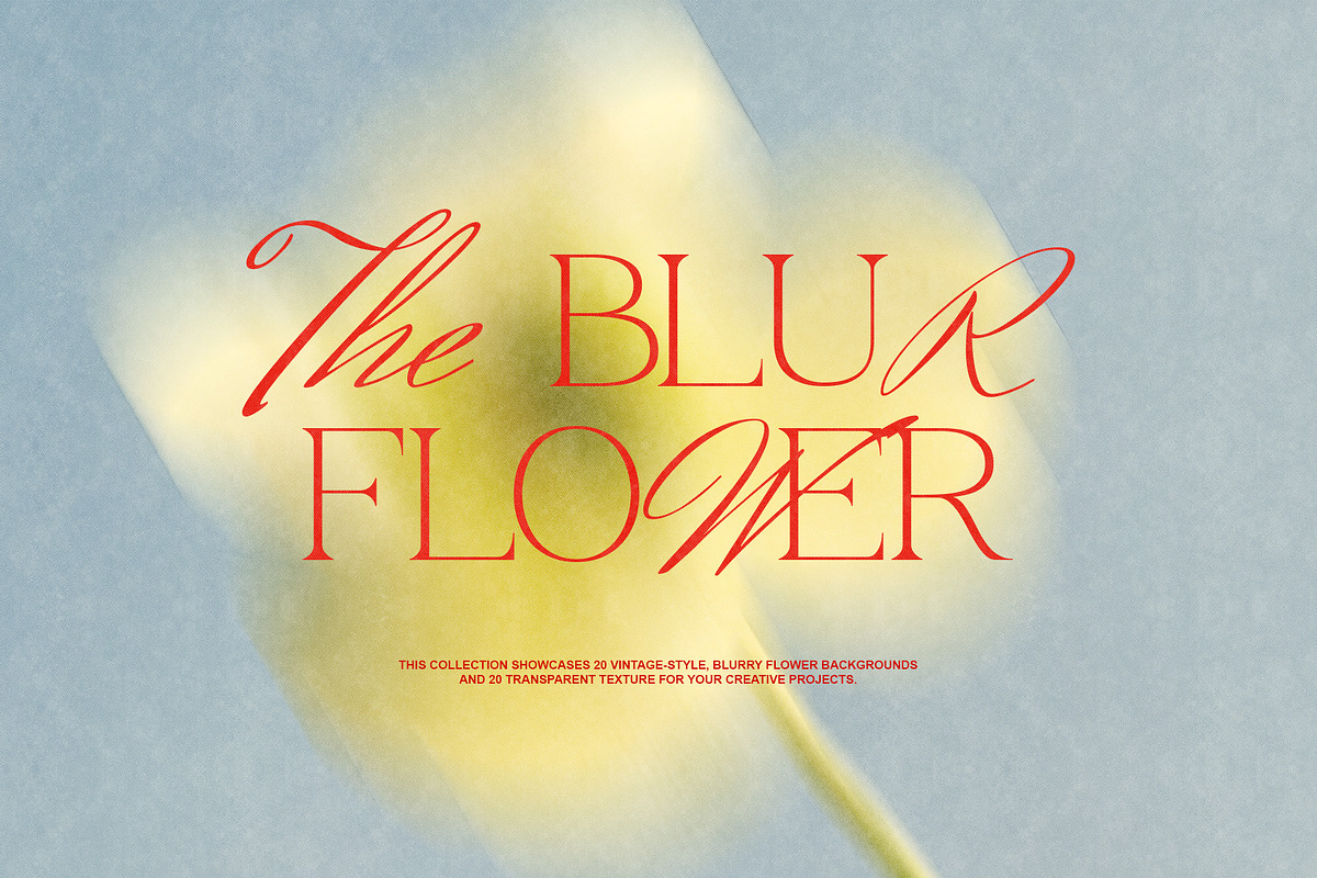 The Blurry Flowers, a Background Graphic by NKate (Photo 1 of 14)