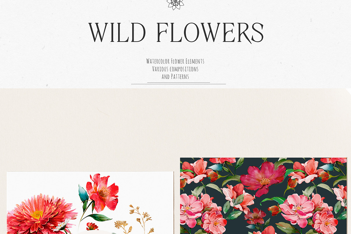 Watercolor Wildflowers & Leaves, a Decorative Illustration by Damian Roh (Photo 10 of 24)