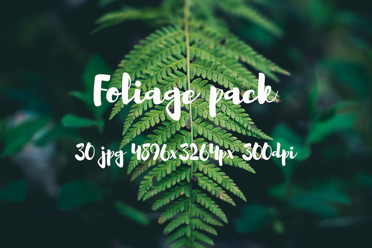 Foliage pack, a Templates & Theme by ApertureVintage (Photo 15 of 21)