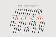 The Letter Editorial – Modern Serif, a Serif Font by Lettertype Studio (Thumbnail 9 of 16)