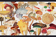 50% SALE!!! American Retro Collage C, an Object Graphic by Lilithcollageart (Thumbnail 7 of 13)