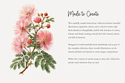100 watercolor floral trees clip art, a Seasonal Illustration by Poppy Lane Studio (Thumbnail 8 of 12)