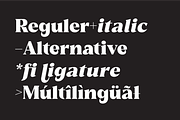 Reshiga - Serif Font, a Serif Font by limitype (Thumbnail 7 of 13)