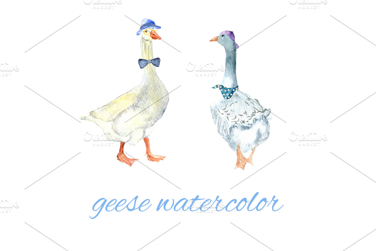 chickens and geese watercolor, an Animal Illustration by JuliaFast (Photo 3 of 3)