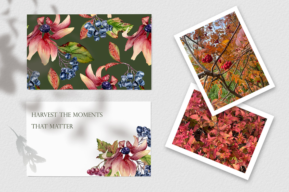 Autumn flowers watercolor clipart, an Illustration by Kate Lanbina (Photo 2 of 22)