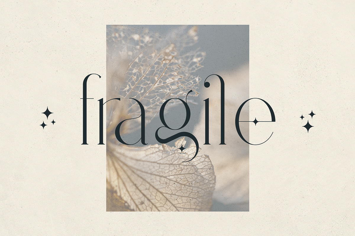 Stolen Love - Elegant serif typeface, a Serif Font by VP Fonts (Photo 19 of 34)