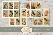 Audubon Bird Cards for Junk Journals, an Animal Illustration by 23 Pixels (Thumbnail 2 of 4)