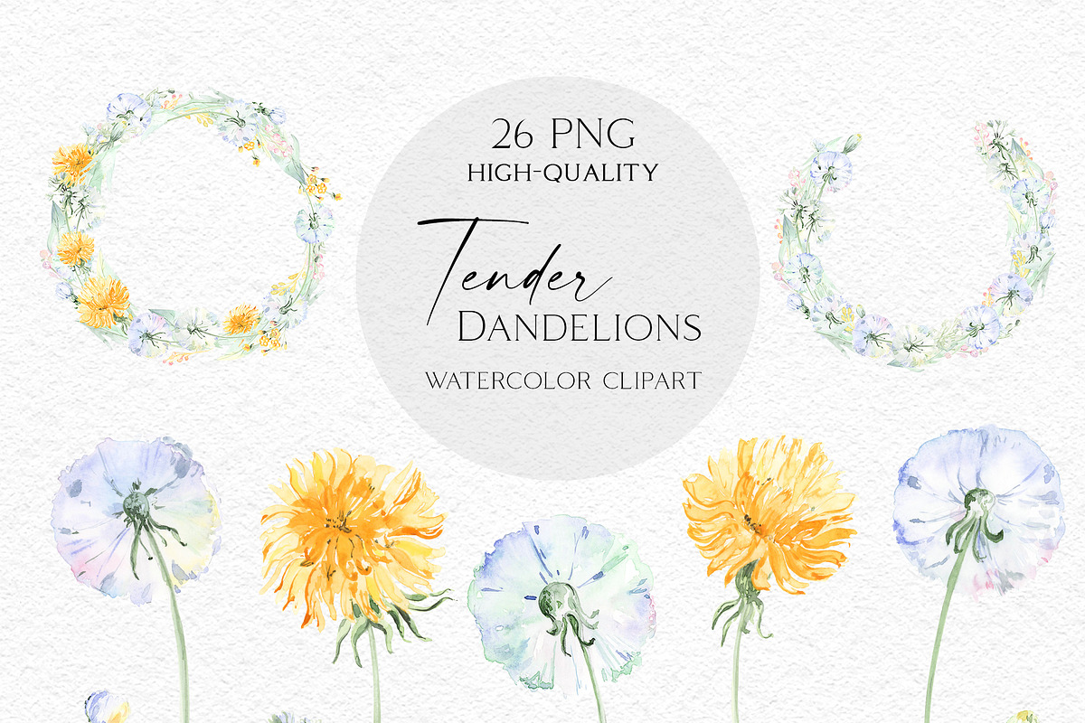 Tender Dandelions, an Object Illustration by Olga Koelsch (Photo 6 of 7)