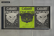 TT Modernoir, a Sans Serif Font by TypeType (Thumbnail 6 of 15)