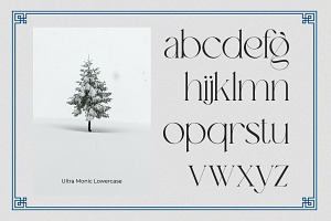 Ultra Monic Serif Display