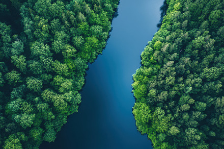 Lush Green Forests Surround a Serene, a Photo by Tanuart