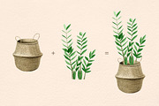 INDOOR PLANTS watercolor clipart set, a Decorative Illustration by MariArtySpace (Thumbnail 5 of 8)