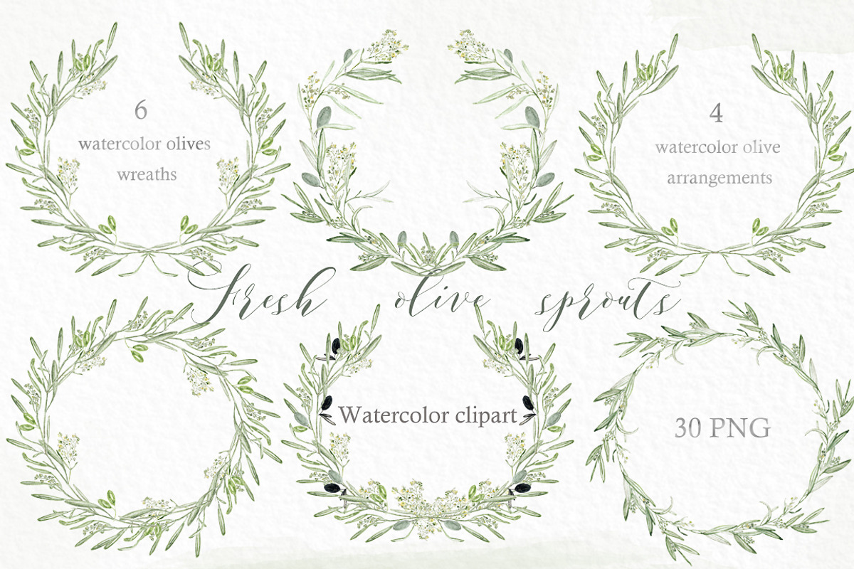 Olive Branch Wreaths clipart, an Illustration by LABFcreations (Photo 1 of 5)