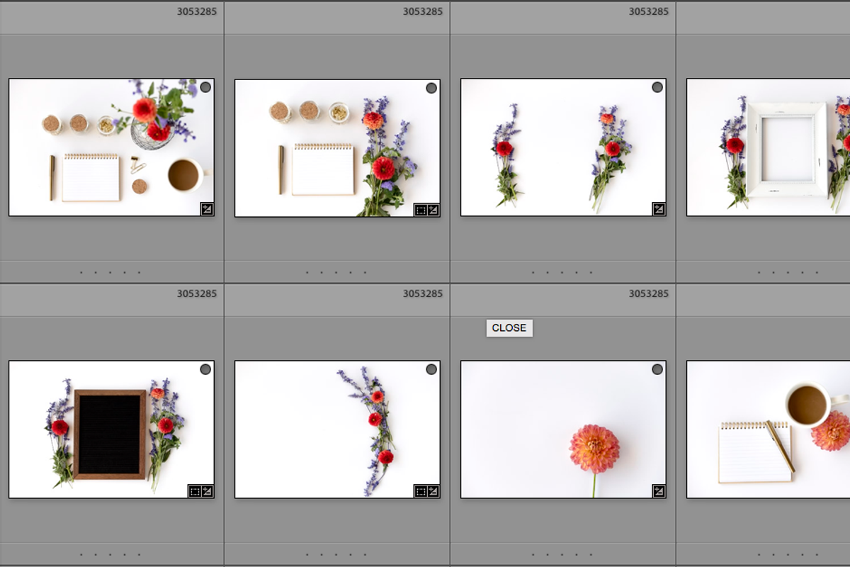 61 Styled Stock - Dahlia Collection, a Templates & Theme by Cohesive Market (Photo 5 of 7)