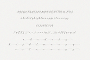 Thundra – Elegant Calligraphy Font, a Script Font by Pen Culture (Thumbnail 8 of 9)