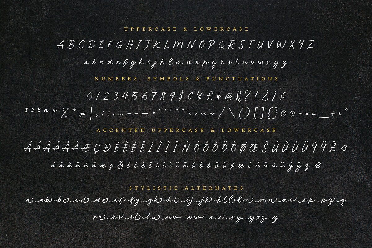 Brighter Moment - Handwriting Brush, a Handwritten Font by Variatype (Photo 8 of 9)
