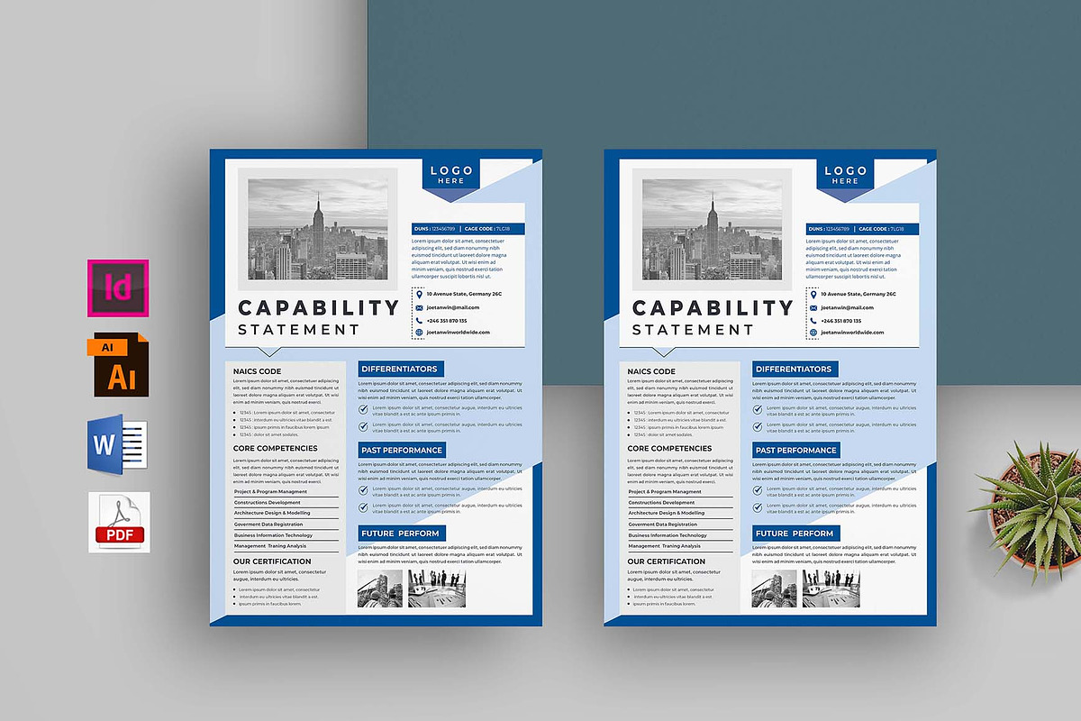 Capability Statement Bundle, a Flyer Template by obayes (Photo 11 of 13)