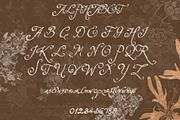 A Dusk Hour – Whimsical Typeface, a Script Font by Setara Langit CreativeStd (Thumbnail 13 of 13)