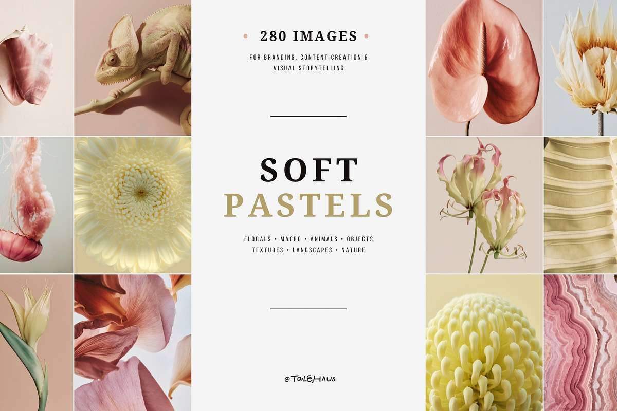 Soft Pastel Stock Photos Bundle 280, a Nature Photo by Tale.Haus (Photo 1 of 19)