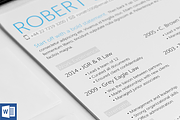 Highlight Resume Template, a Resume Template by 12 Resumes  (Thumbnail 1 of 4)