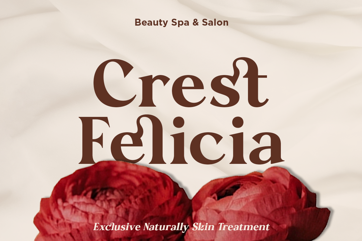 Velantia - Beauty Modern Serif Font, a Serif Font by NexaLine (Photo 3 of 10)