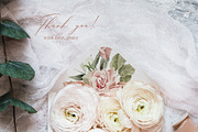 Blush Garden- Watercolor Floral set, a Texture Illustration by Grace Noboa Illustrations (Thumbnail 10 of 10)