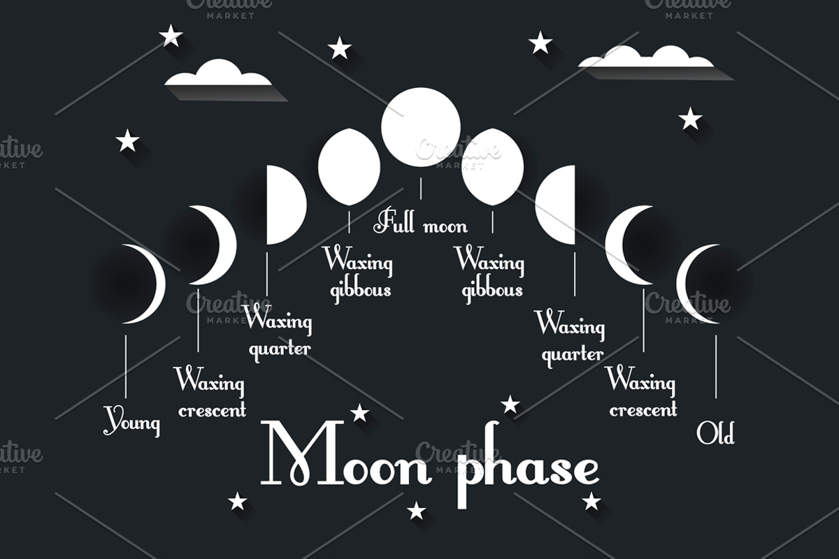 Moon phases. Set illustrations, an Illustration by Andy Vinnikov (Photo 8 of 8)