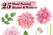 Watercolor Dahlia Kit, an Illustration by Instinct Design Co (Thumbnail 2 of 2)