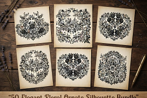 50 Elegant Floral Ornate Silhouette, a Decorative Illustration by Amazin_art