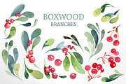 Watercolor branches and berries, an Illustration by katyabuslaeva (Thumbnail 2 of 8)