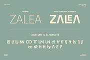 Zujin - Geometric Sans-Serif, a Font by Eotype Studio (Thumbnail 9 of 12)