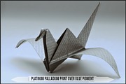 Platinum Palladium Prints LUTs, a Plug-in Add-On by Raztrend (Thumbnail 11 of 32)