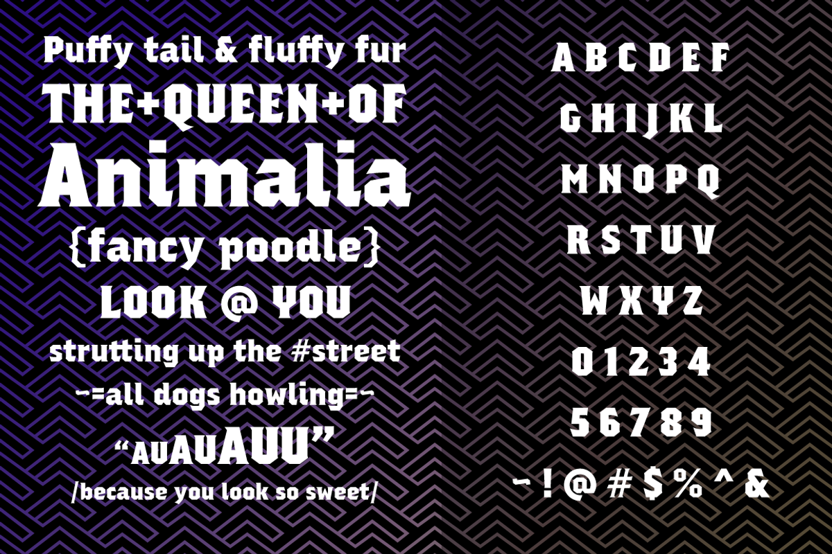 Regalia preview 2