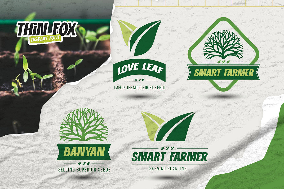 THIN FOX - Display Font, a Font by Gassstype (Photo 3 of 8)