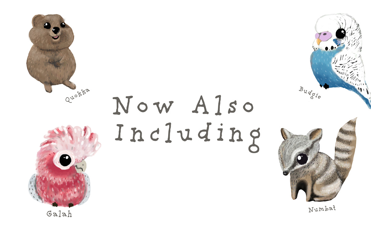 Australian Animals Watercolor Bundle, an Animal Illustration by sarahnalder (Photo 2 of 8)