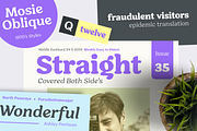 Hornbill; 18 Retro Fonts, a Serif Font by Eko Bimantara (Thumbnail 2 of 10)