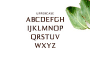 Birtle Serif 3 Font Family Pack, a Serif Font by Creativetacos (Thumbnail 2 of 5)