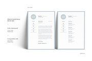 Creative and Professional Resume, a Resume Template by GraphicFlava (Thumbnail 4 of 8)