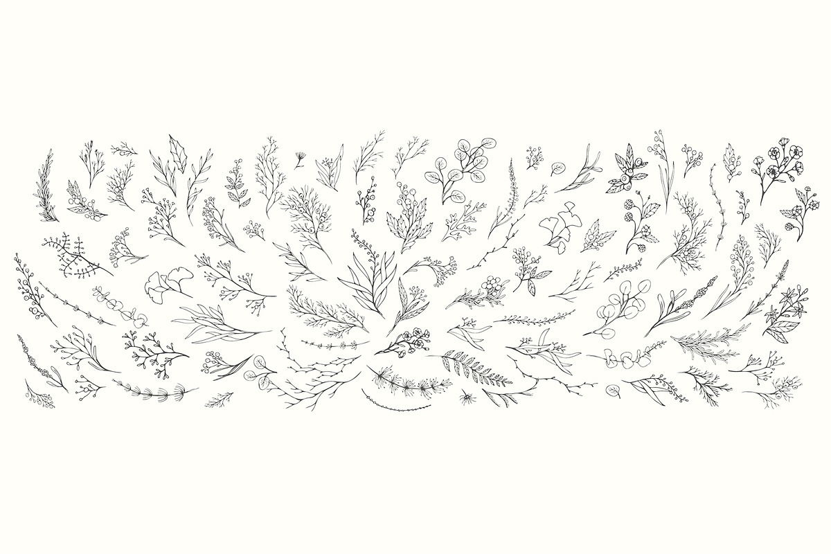 Winter Foliage collection, a Decorative Illustration by Merfin (Photo 12 of 14)